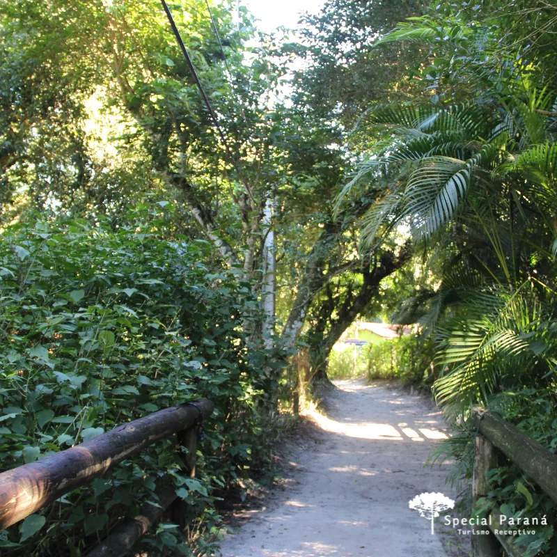 Ilha do Mel Completa - Imagem 10