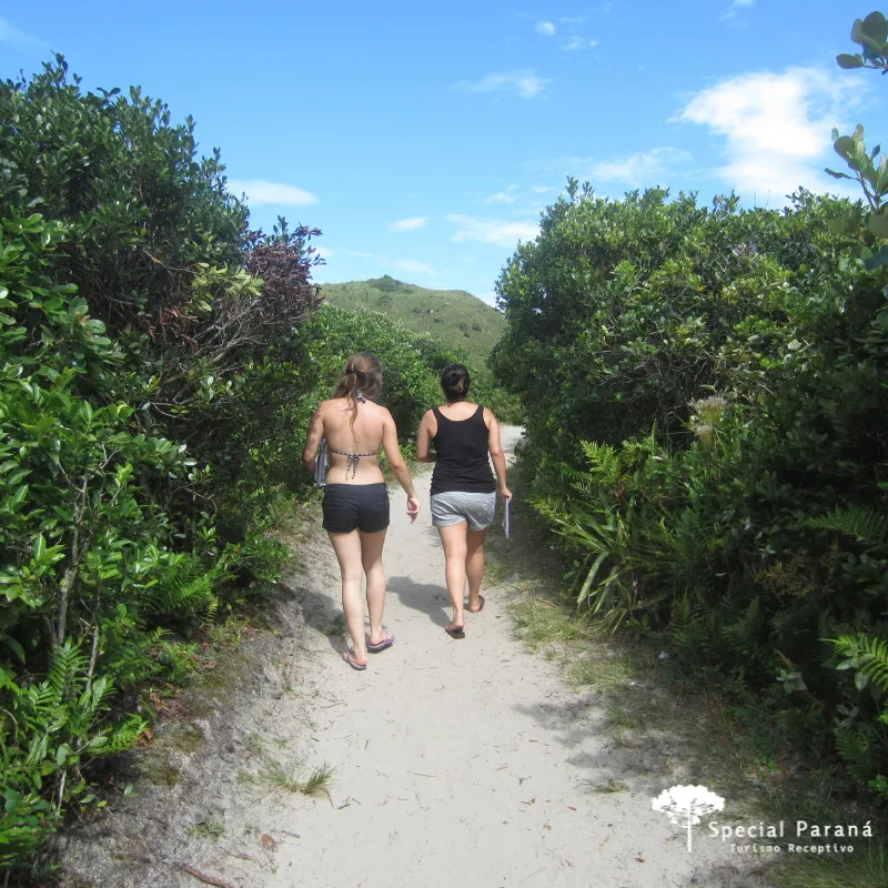 Ilha do Mel Completa - Imagem 11