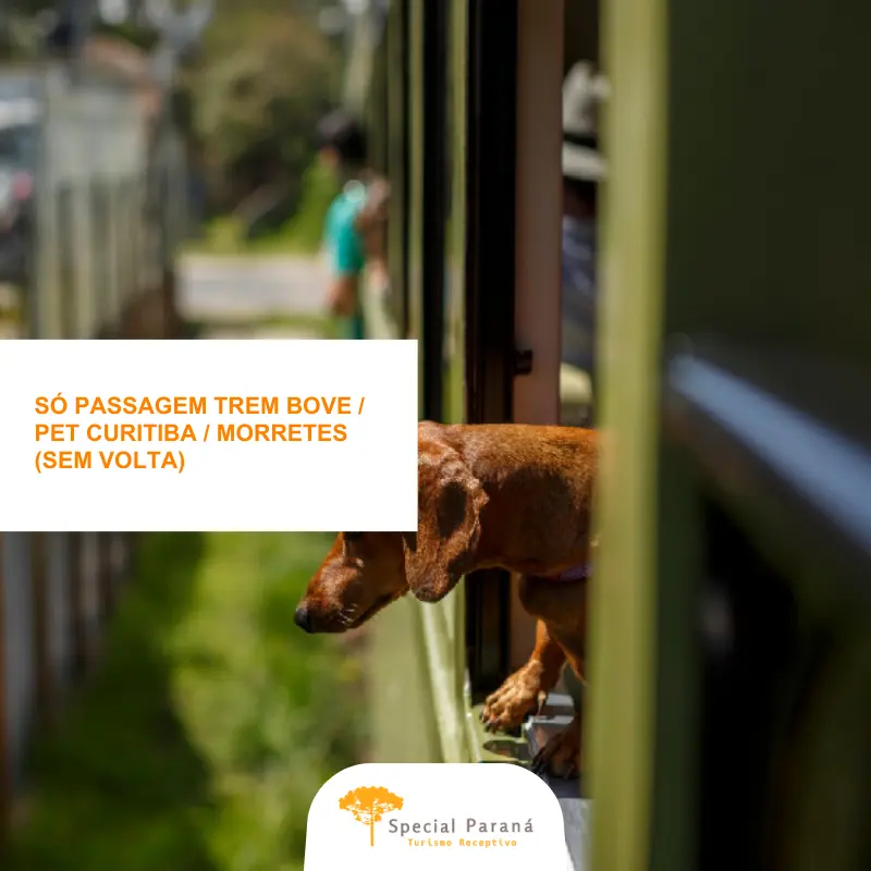 Passagem Ida Trem Bove / Pet Curitiba - Morretes