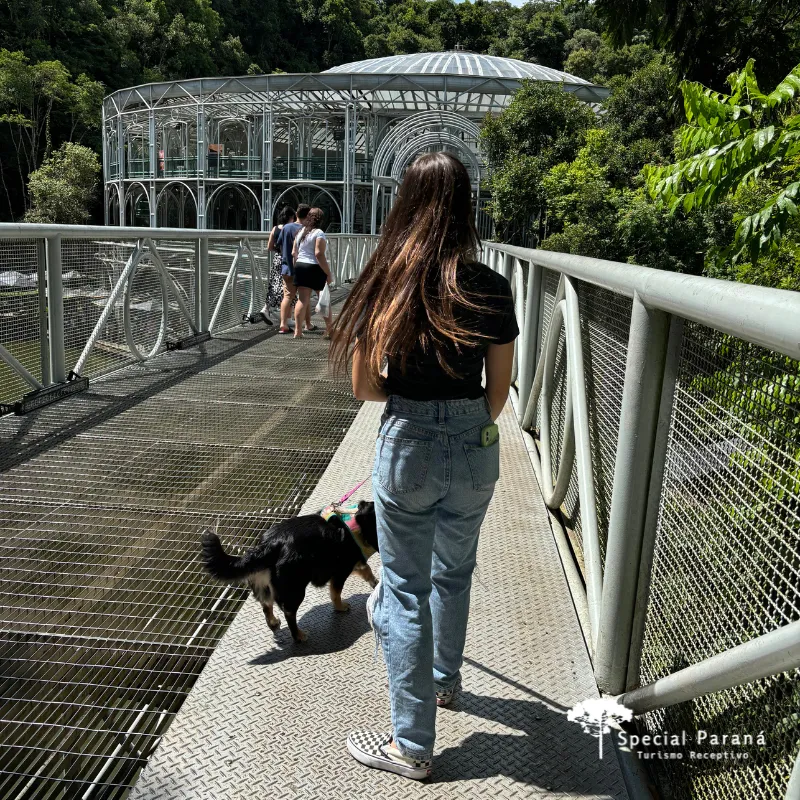 Curitiba com Seu Pet - Imagem 13