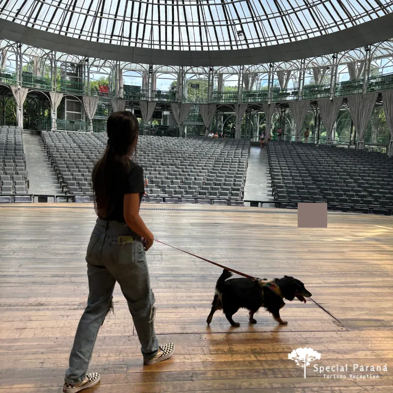 Curitiba com Seu Pet - Imagem 16
