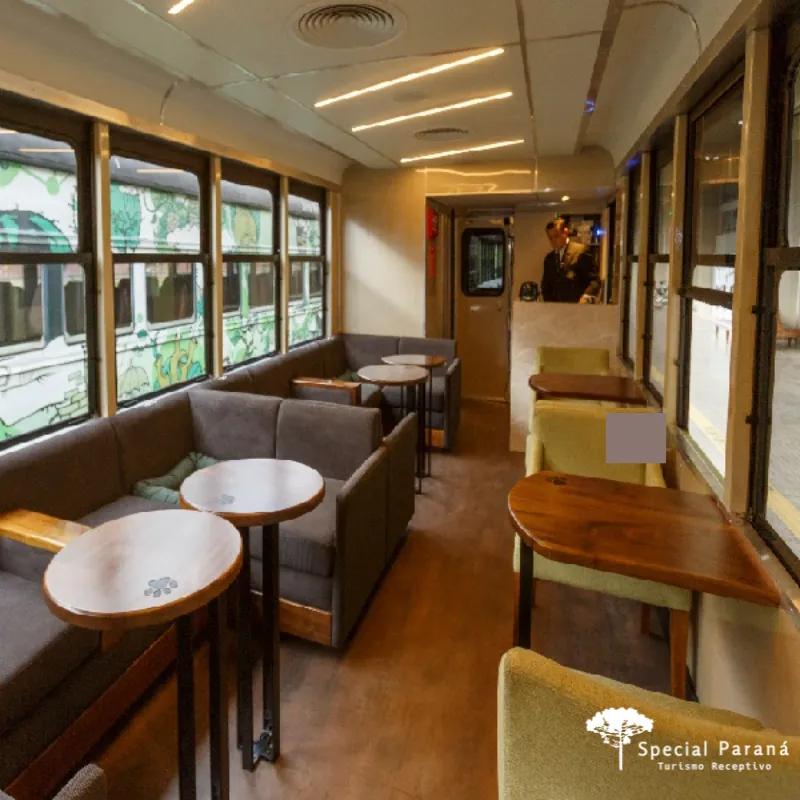 Curitiba com Seu Pet - Imagem 9