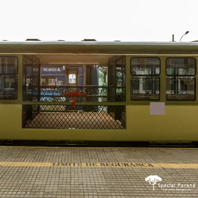 Curitiba com Seu Pet - Imagem 6