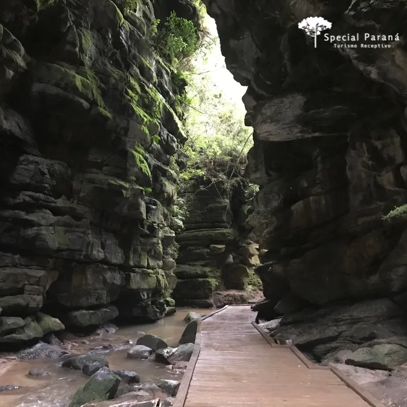 Vila Velha e Cachoeira Buraco do Padre - Imagem 9