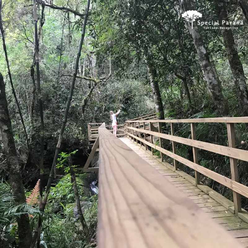 Vila Velha e Cachoeira Buraco do Padre - Imagem 11