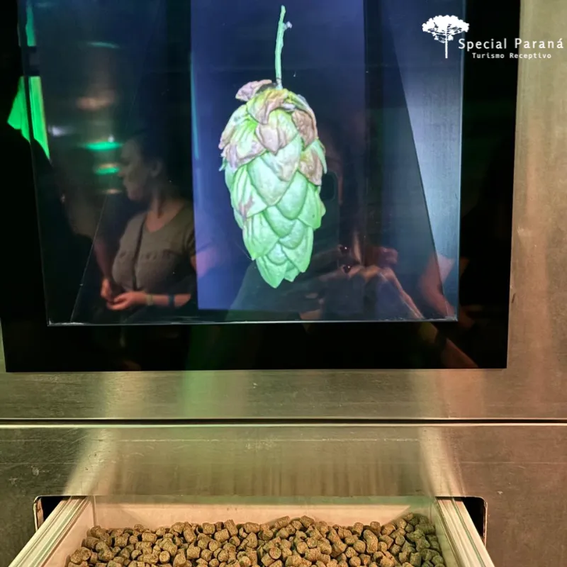 Heineken e Vila Velha - Imagem 7